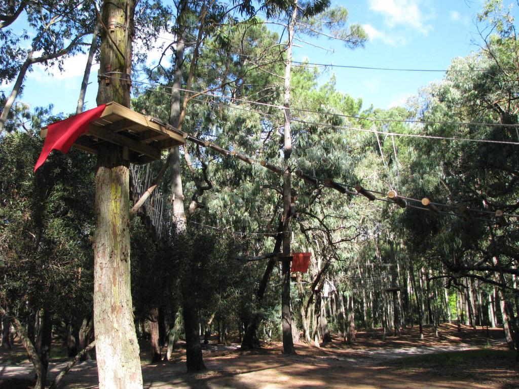 Green Park En Punta Del Este Exteriör bild